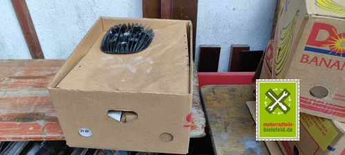 IMG_20230829_165558